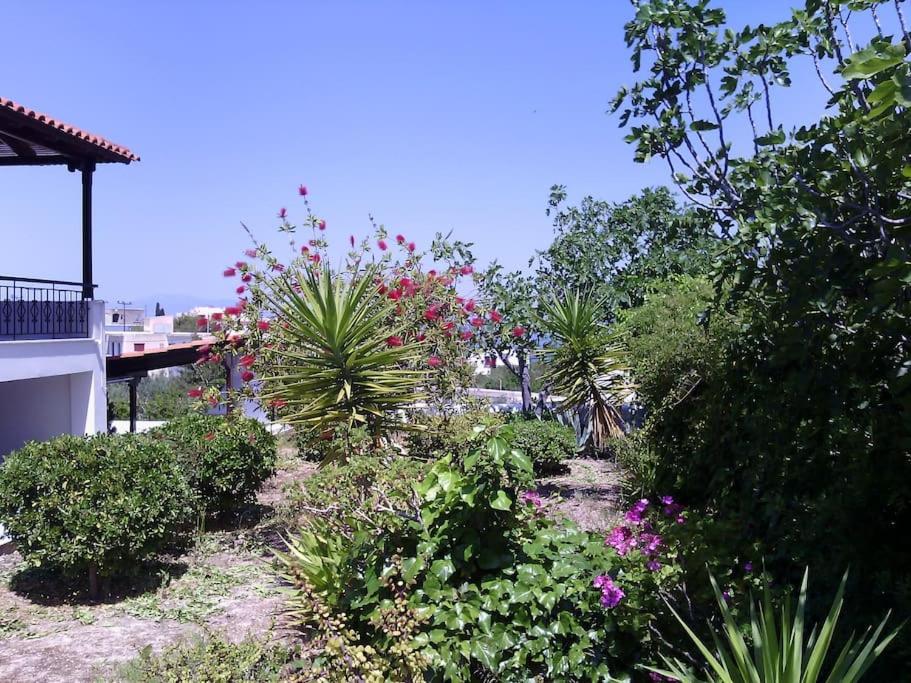 Explore Aegina Island Сувала Екстер'єр фото